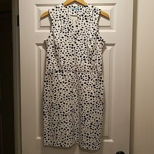 J McLaughlin Hudson Dress